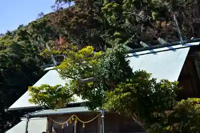 高皇産靈神社(千葉県)