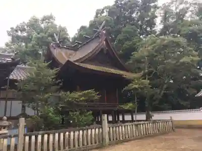 素盞嗚神社の本殿・本堂