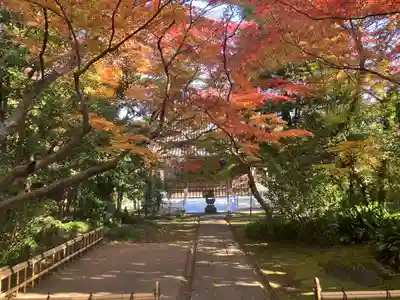 大正寺(東京都)