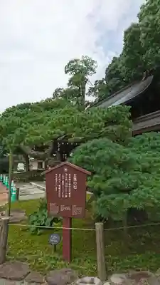 出水神社のその他建物