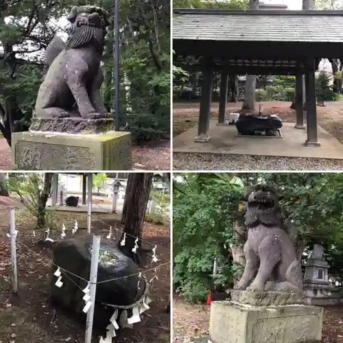 信濃神社の狛犬