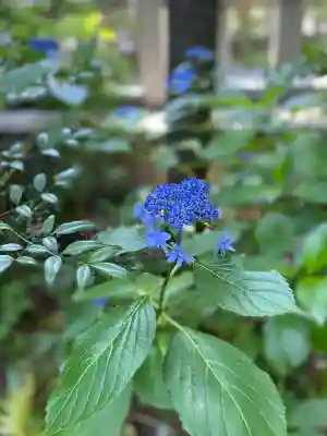 寒川神社(神奈川県)
