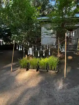 氷川女體神社(埼玉県)