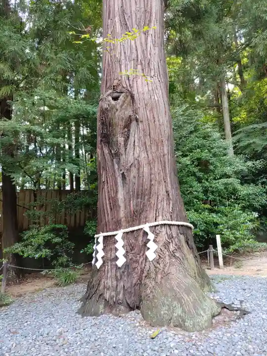鹿嶋神社(福島県)