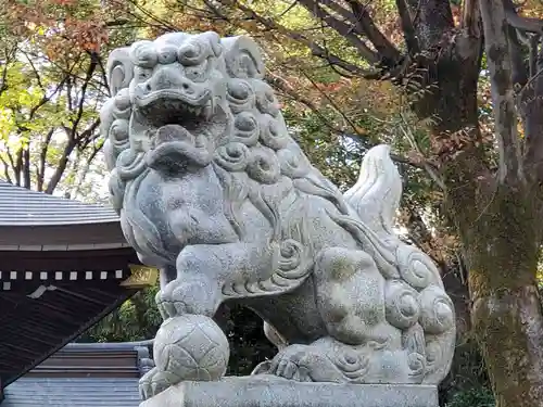 荻窪八幡神社の狛犬