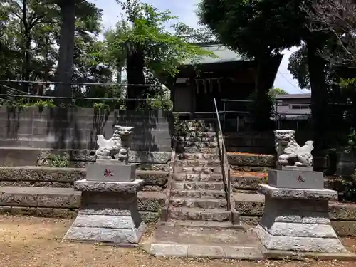 別所白山神社の狛犬