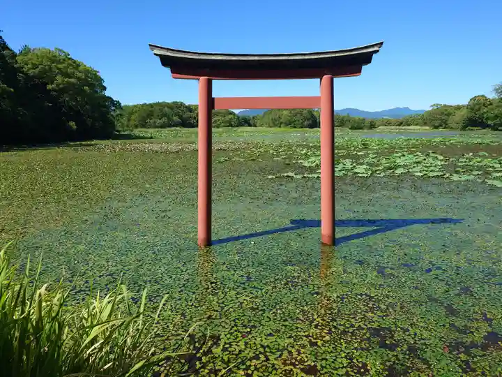薦神社(大分県)