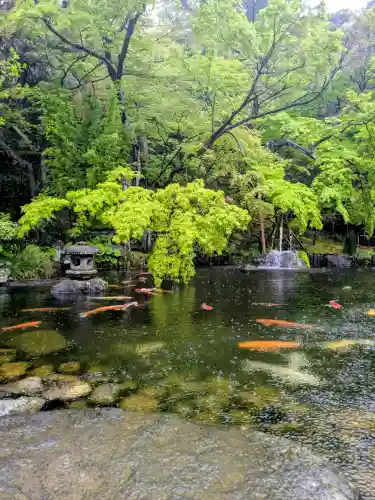 長谷寺の{uncategorized: "未分類", other: "その他", undefined: "問題あり", building: "その他建物", grave: "お墓", sacred_gate: "鳥居", guardian: "狛犬", statue: "像", buddha: "仏像", history: "歴史", nature: "自然", garden: "庭園", animal: "動物", pagoda: "塔", temizu: "手水舎", mountain_gate: "山門・神門", sanctuary: "本殿・本堂", subordinate: "末社・摂社", art: "芸術", scenery: "景色", jizo: "地蔵", ema: "絵馬", goshuin: "御朱印", omikuji: "おみくじ", items: "授与品その他", amulet: "お守り", goshuincho: "御朱印帳", eats: "食事", festival: "お祭り", votive_dance: "神楽", shichigosan: "七五三参", wedding: "結婚式", experience: "体験その他", initially: "初詣", around: "周辺", anti_infection: "感染症対策"}