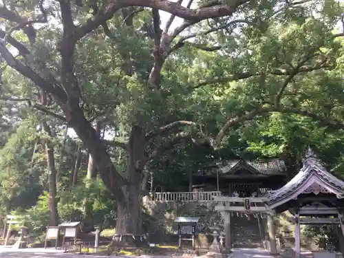 事任八幡宮の自然