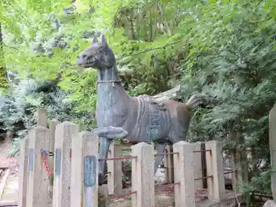 寳塔寺（宝塔寺）の狛犬