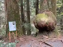 花園神社(茨城県)