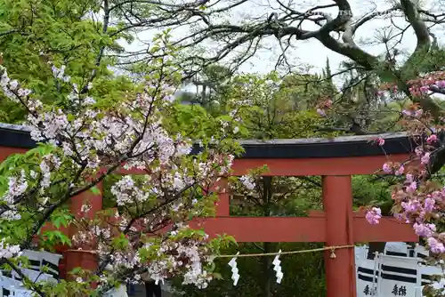 鶴岡八幡宮の鳥居