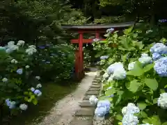 鷲子山上神社の鳥居