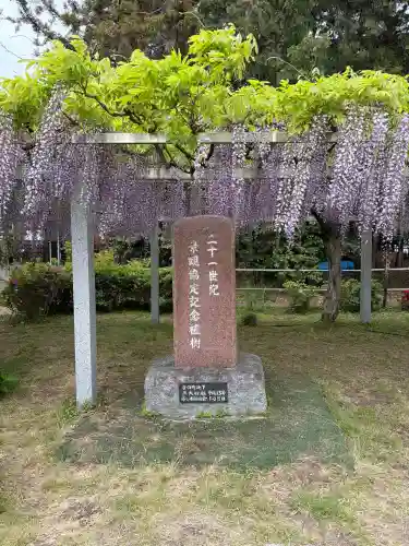 三大神社の{uncategorized: "未分類", other: "その他", undefined: "問題あり", building: "その他建物", grave: "お墓", sacred_gate: "鳥居", guardian: "狛犬", statue: "像", buddha: "仏像", history: "歴史", nature: "自然", garden: "庭園", animal: "動物", pagoda: "塔", temizu: "手水舎", mountain_gate: "山門・神門", sanctuary: "本殿・本堂", subordinate: "末社・摂社", art: "芸術", scenery: "景色", jizo: "地蔵", ema: "絵馬", goshuin: "御朱印", omikuji: "おみくじ", items: "授与品その他", amulet: "お守り", goshuincho: "御朱印帳", eats: "食事", festival: "お祭り", votive_dance: "神楽", shichigosan: "七五三参", wedding: "結婚式", experience: "体験その他", initially: "初詣", around: "周辺", anti_infection: "感染症対策"}