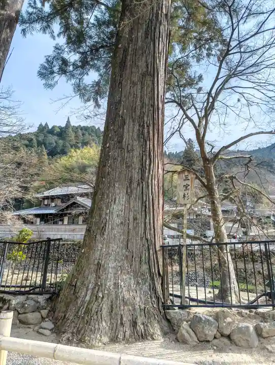 室生寺の{uncategorized: "未分類", other: "その他", undefined: "問題あり", building: "その他建物", grave: "お墓", sacred_gate: "鳥居", guardian: "狛犬", statue: "像", buddha: "仏像", history: "歴史", nature: "自然", garden: "庭園", animal: "動物", pagoda: "塔", temizu: "手水舎", mountain_gate: "山門・神門", sanctuary: "本殿・本堂", subordinate: "末社・摂社", art: "芸術", scenery: "景色", jizo: "地蔵", ema: "絵馬", goshuin: "御朱印", omikuji: "おみくじ", items: "授与品その他", amulet: "お守り", goshuincho: "御朱印帳", eats: "食事", festival: "お祭り", votive_dance: "神楽", shichigosan: "七五三参", wedding: "結婚式", experience: "体験その他", initially: "初詣", around: "周辺", anti_infection: "感染症対策"}
