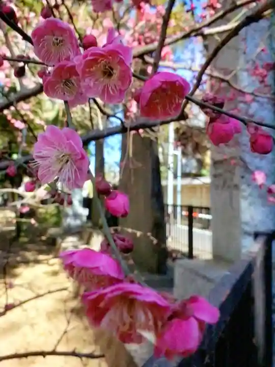 布多天神社(東京都)