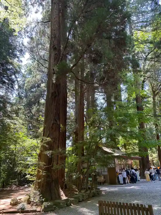 高千穂神社(宮崎県)