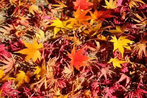 滑川神社 - 仕事と子どもの守り神の自然