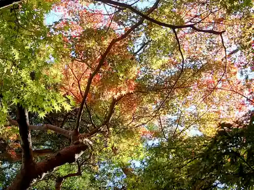 長谷寺(神奈川県)