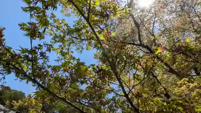 圓光寺(京都府)