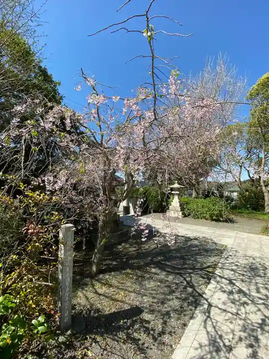 龍口明神社(神奈川県)