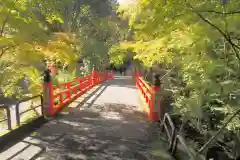 今熊野観音寺の建物その他