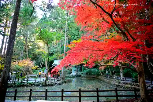 小國神社(静岡県)