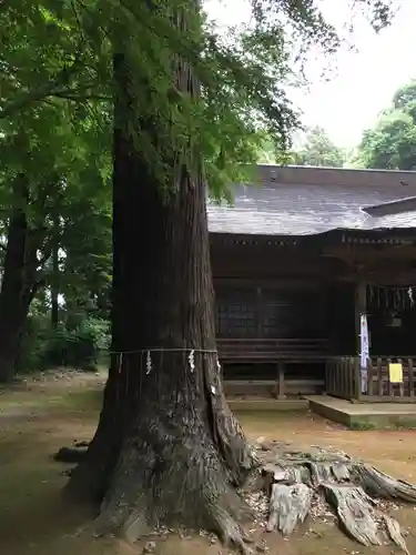 楯縫神社の自然