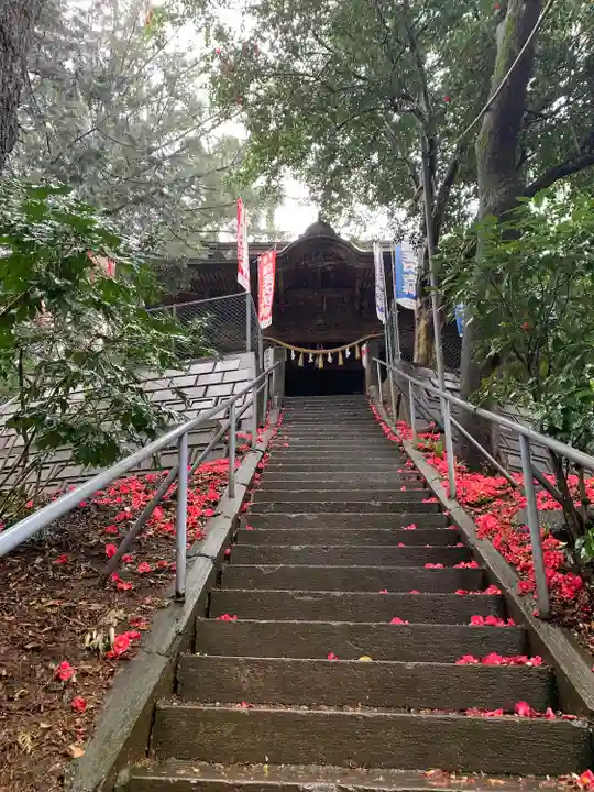 前玉神社(埼玉県)
