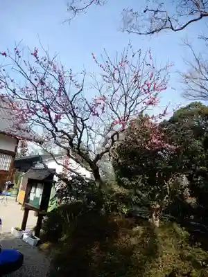 北僧坊のその他建物