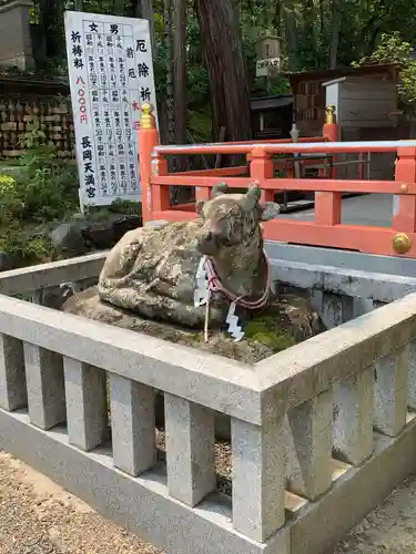 長岡天満宮の狛犬