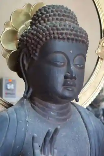 國分寺（国分寺）(京都府)