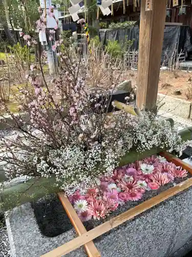 白山神社(東京都)