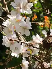 多賀神社の自然