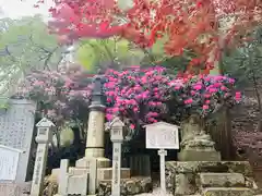 比叡山延暦寺(滋賀県)