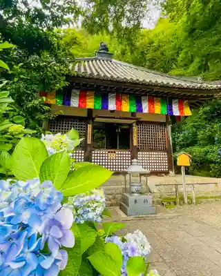 長谷寺(奈良県)