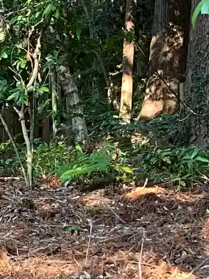 鹿島神宮(茨城県)