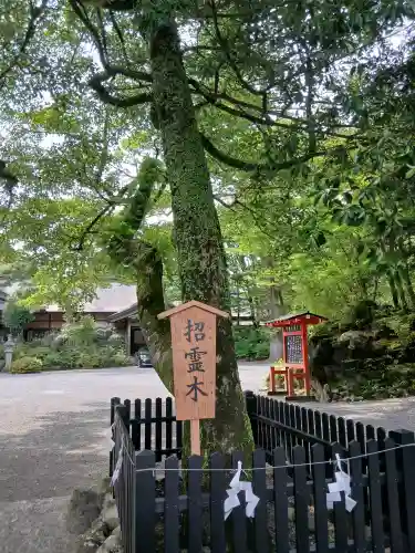 霧島神宮(鹿児島県)