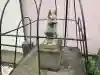 伏見大漁稲荷神社の{uncategorized: "未分類", other: "その他", undefined: "問題あり", building: "その他建物", grave: "お墓", sacred_gate: "鳥居", guardian: "狛犬", statue: "像", buddha: "仏像", history: "歴史", nature: "自然", garden: "庭園", animal: "動物", pagoda: "塔", temizu: "手水舎", mountain_gate: "山門・神門", sanctuary: "本殿・本堂", subordinate: "末社・摂社", art: "芸術", scenery: "景色", jizo: "地蔵", ema: "絵馬", goshuin: "御朱印", omikuji: "おみくじ", items: "授与品その他", amulet: "お守り", goshuincho: "御朱印帳", eats: "食事", festival: "お祭り", votive_dance: "神楽", shichigosan: "七五三参", wedding: "結婚式", experience: "体験その他", initially: "初詣", around: "周辺", anti_infection: "感染症対策"}