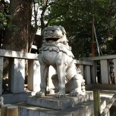 渋谷氷川神社の狛犬