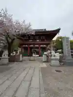瀧泉寺(目黒不動尊)の{uncategorized: "未分類", other: "その他", undefined: "問題あり", building: "その他建物", grave: "お墓", sacred_gate: "鳥居", guardian: "狛犬", statue: "像", buddha: "仏像", history: "歴史", nature: "自然", garden: "庭園", animal: "動物", pagoda: "塔", temizu: "手水舎", mountain_gate: "山門・神門", sanctuary: "本殿・本堂", subordinate: "末社・摂社", art: "芸術", scenery: "景色", jizo: "地蔵", ema: "絵馬", goshuin: "御朱印", omikuji: "おみくじ", items: "授与品その他", amulet: "お守り", goshuincho: "御朱印帳", eats: "食事", festival: "お祭り", votive_dance: "神楽", shichigosan: "七五三参", wedding: "結婚式", experience: "体験その他", initially: "初詣", around: "周辺", anti_infection: "感染症対策"}