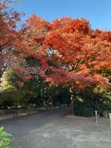 高円寺(東京都)