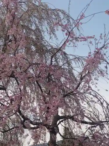 常泉寺(神奈川県)