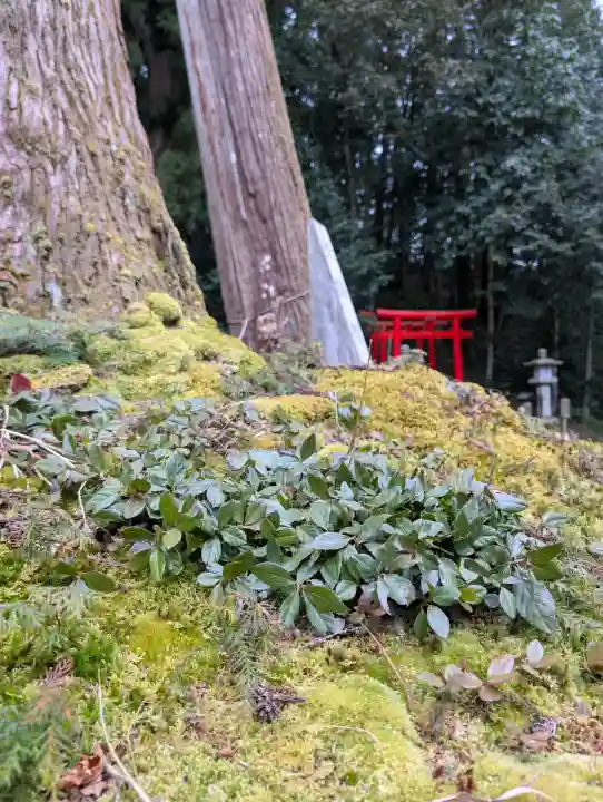 粟鹿神社の{uncategorized: "未分類", other: "その他", undefined: "問題あり", building: "その他建物", grave: "お墓", sacred_gate: "鳥居", guardian: "狛犬", statue: "像", buddha: "仏像", history: "歴史", nature: "自然", garden: "庭園", animal: "動物", pagoda: "塔", temizu: "手水舎", mountain_gate: "山門・神門", sanctuary: "本殿・本堂", subordinate: "末社・摂社", art: "芸術", scenery: "景色", jizo: "地蔵", ema: "絵馬", goshuin: "御朱印", omikuji: "おみくじ", items: "授与品その他", amulet: "お守り", goshuincho: "御朱印帳", eats: "食事", festival: "お祭り", votive_dance: "神楽", shichigosan: "七五三参", wedding: "結婚式", experience: "体験その他", initially: "初詣", around: "周辺", anti_infection: "感染症対策"}