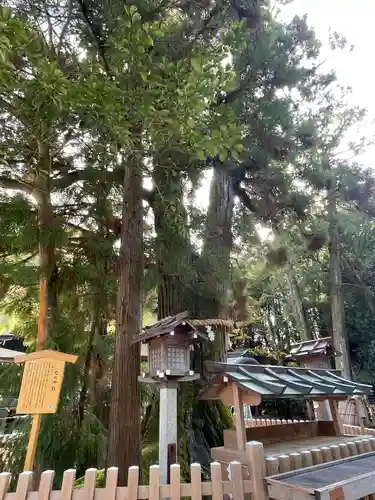大神神社(奈良県)