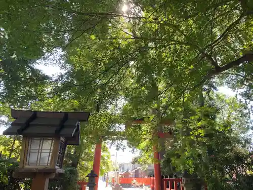 大田神社（賀茂別雷神社境外摂社）(京都府)