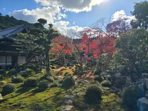 金剛寺(大阪府)