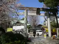 牛嶋神社の鳥居