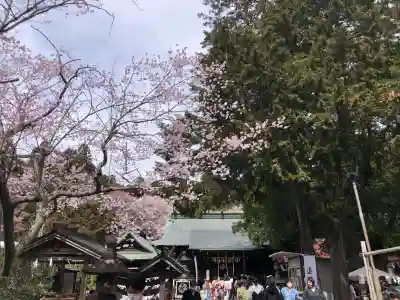 青葉神社の{uncategorized: "未分類", other: "その他", undefined: "問題あり", building: "その他建物", grave: "お墓", sacred_gate: "鳥居", guardian: "狛犬", statue: "像", buddha: "仏像", history: "歴史", nature: "自然", garden: "庭園", animal: "動物", pagoda: "塔", temizu: "手水舎", mountain_gate: "山門・神門", sanctuary: "本殿・本堂", subordinate: "末社・摂社", art: "芸術", scenery: "景色", jizo: "地蔵", ema: "絵馬", goshuin: "御朱印", omikuji: "おみくじ", items: "授与品その他", amulet: "お守り", goshuincho: "御朱印帳", eats: "食事", festival: "お祭り", votive_dance: "神楽", shichigosan: "七五三参", wedding: "結婚式", experience: "体験その他", initially: "初詣", around: "周辺", anti_infection: "感染症対策"}