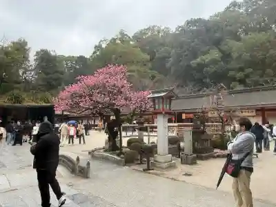 太宰府天満宮の{uncategorized: "未分類", other: "その他", undefined: "問題あり", building: "その他建物", grave: "お墓", sacred_gate: "鳥居", guardian: "狛犬", statue: "像", buddha: "仏像", history: "歴史", nature: "自然", garden: "庭園", animal: "動物", pagoda: "塔", temizu: "手水舎", mountain_gate: "山門・神門", sanctuary: "本殿・本堂", subordinate: "末社・摂社", art: "芸術", scenery: "景色", jizo: "地蔵", ema: "絵馬", goshuin: "御朱印", omikuji: "おみくじ", items: "授与品その他", amulet: "お守り", goshuincho: "御朱印帳", eats: "食事", festival: "お祭り", votive_dance: "神楽", shichigosan: "七五三参", wedding: "結婚式", experience: "体験その他", initially: "初詣", around: "周辺", anti_infection: "感染症対策"}